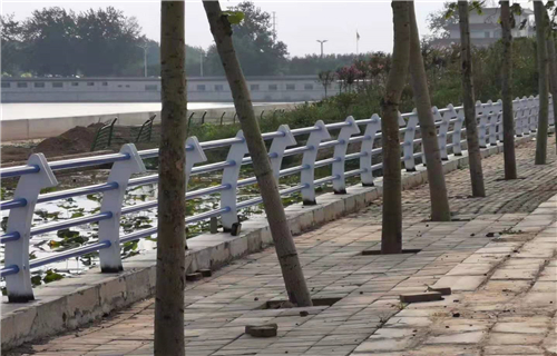 不锈钢复合管河道护栏质量本地货源