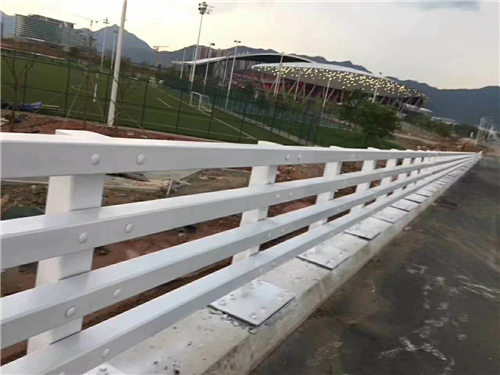 山东河道护栏给您底价优惠